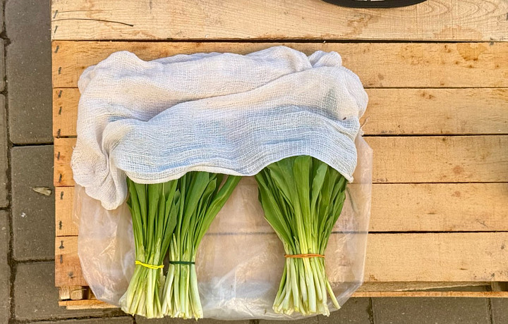 Продавцы в Туле уже «отрыли» черемшу: откуда она, если леса еще в снегу и стоит ли покупать ее сейчас?