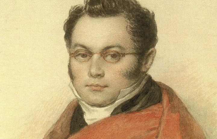 По прозвищу «Палкин»: история самой необычной губернаторской отставки в Тульской губернии