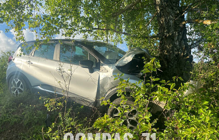 На трассе под Тулой водитель на Renault Kaptur врезался в дерево: два человека госпитализированы