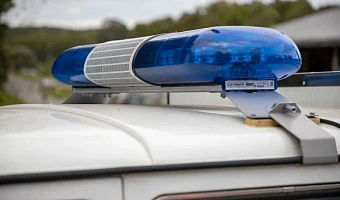 Госавтоинспекция призывает туляков сообщать о нетрезвых водителях