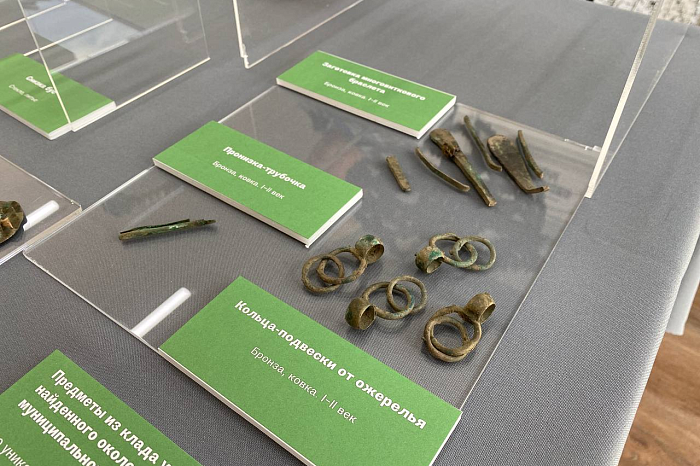 Музею «Куликово поле» передан археологический клад, найденный неподалеку от Тулы черным копателем