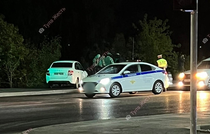 На улице Рязанской в Туле полиция задержала двух неизвестных