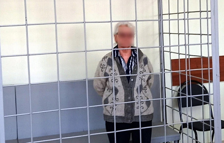 Пенсионерка из Тульской области получила девять лет колонии за жестокое убийство невестки и расчленение трупа