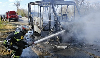 13 пожаров потушили в Тульской области за прошедшие сутки
