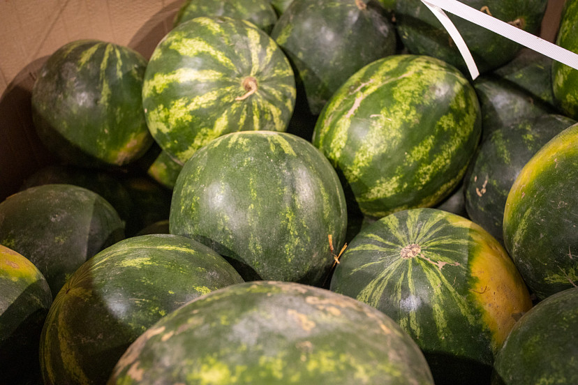 ﻿Россиянам рассказали, когда подешевеют арбузы | ТСН24