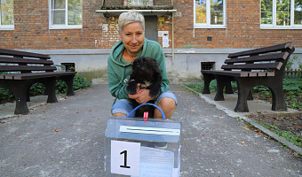 Явка на выборах во второй день голосования в Тульской области составила 24,78%