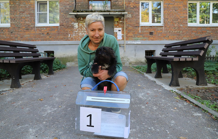 Явка на выборах во второй день голосования в Тульской области составила 24,78%