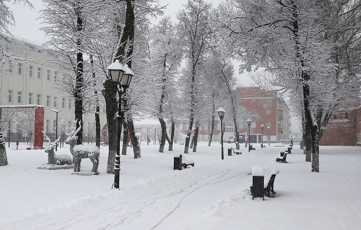 В Тулу идут январские морозы и сногсшибательное давление