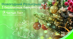 Что не могут изъять при банкротстве, сколько времени занимает процедура и можно ли сделать ее бесплатно? Инструкция от компании «Чистый лист»