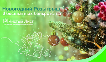 Что не могут изъять при банкротстве, сколько времени занимает процедура и можно ли сделать ее бесплатно? Инструкция от компании «Чистый лист»