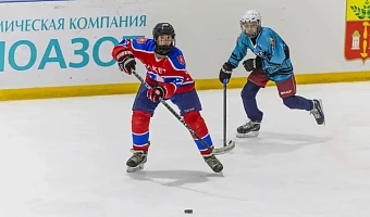 В Тульской области дан старт новому сезону соревнований «Золотая шайба»