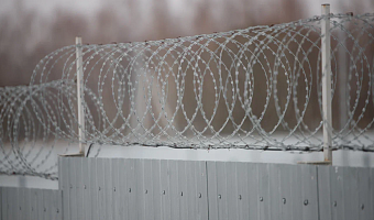 Житель Богородицкого района, ударивший приятеля ножом в живот, отправится в колонию