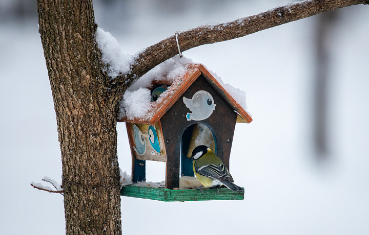 Синоптик Ильин рассказал, какая погода ждет туляков на этой неделе