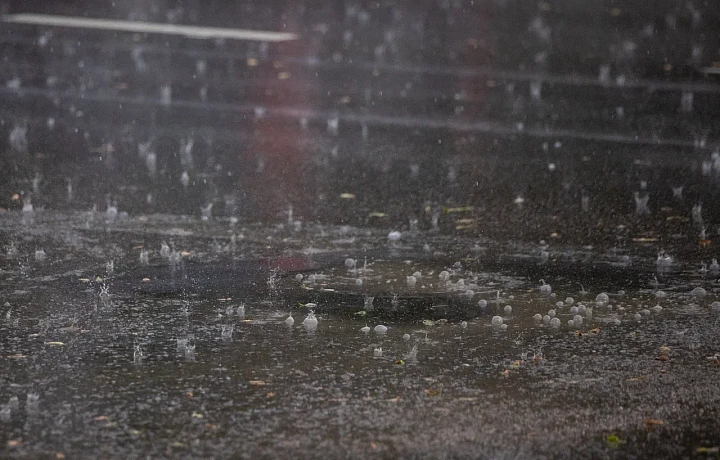 В Тульской области за сутки может выпасть до 30% месячной доли осадков в августе