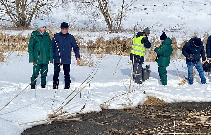 В Тульской области обнаружен источник загрязнения реки Веневки
