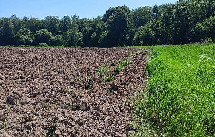 В Щекинском районе перепахали единственную дорогу к деревенскому кладбищу