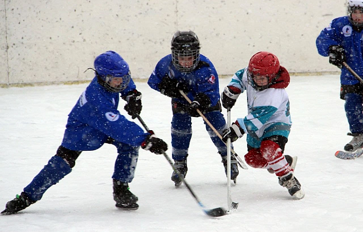 В Тульской области пройдет детский Кубок по дворовому хоккею «Шаг в жизнь»