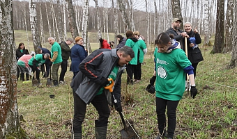 Депутаты тульской Облдумы и члены Молодежного парламента высадили саженцы в Ясной Поляне