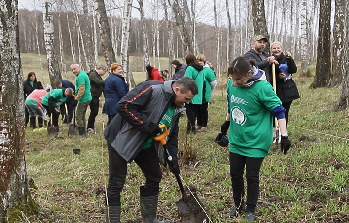 Депутаты тульской Облдумы и члены Молодежного парламента высадили саженцы в Ясной Поляне