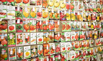 Россельхознадзор выявил незаконную продажу семян в Тульской области