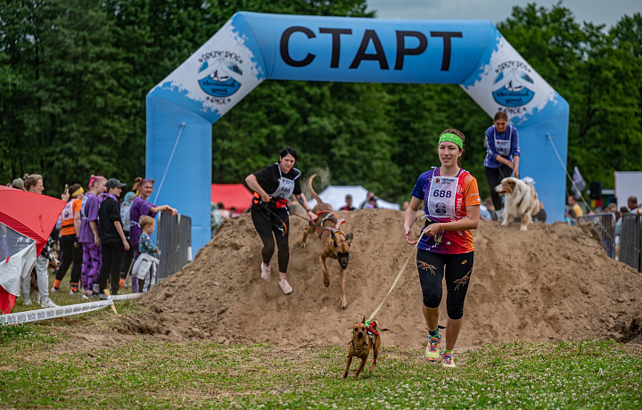 «После гонки он на меня обиделся»: тулячка пробежала 5 км с собакой по грязи и болотам – поговорили с ней о гонке «Хвостатый драйв»