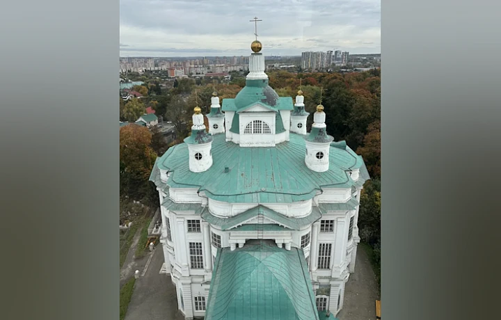 Документальный фильм о Дуняше начали снимать в Тесницком лесу под Тулой