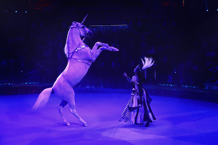 «Доводим каждую деталь до совершенства»: артисты «Королевского цирка» Гии Эрадзе рассказали, как рождается настоящее шоу