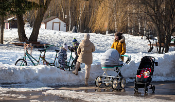 Более 10 предприятий Тульской области включились в программу поддержки рождаемости