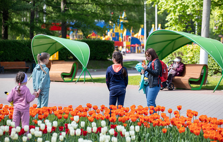 В День защиты детей в центре Тулы будут бесплатно раздавать мороженое