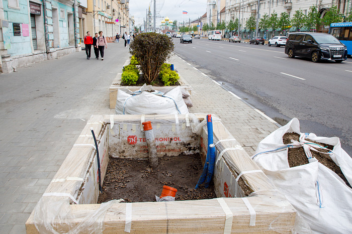 Глава администрации Тулы прокомментировал высадку деревьев на проспекте Ленина под проводами