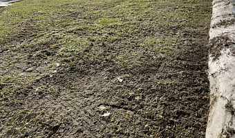 Болельщикам показали, как выглядит поле «Арсенала» за две недели до кубкового матча