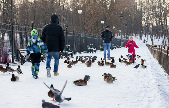 Детский омбудсмен Волынец предложила разрешить отцам-одиночкам выходить на пенсию досрочно
