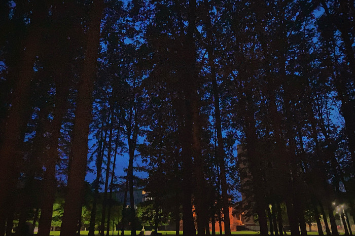 Тула глазами туристов: парк с белочками и арт-пространство на территории завода