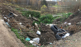 Жители Алексина пожаловались на стихийную свалку вдоль дороги
