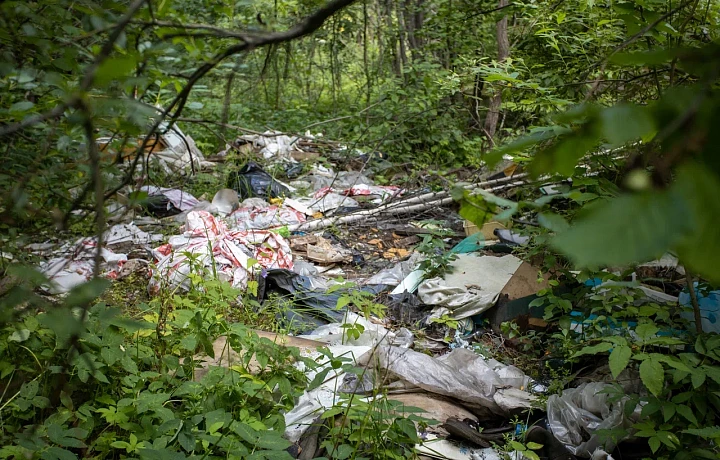 Тульские экологи выявили несанкционированные свалки в Киреевском районе