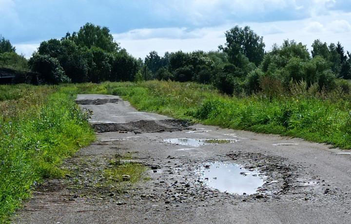 Жители деревни под Суворовом попросили президента сделать дорогу: они показали результат исполнения поручения местными властями