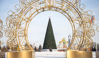 На установку главной новогодней елки в Туле выделено 3,4 миллиона рублей