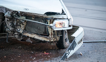 Названы участки тульских дорог, где чаще всего происходят ДТП с животными