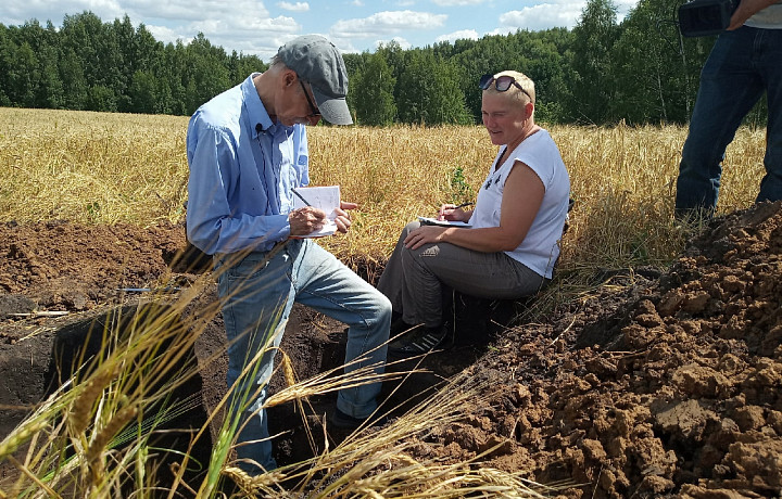 Ученые приступили к изучению почвы на месте Судбищенской битвы 1555 года в Тульской области