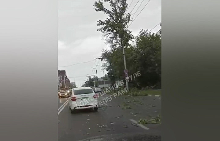 ﻿На улице Болдина в Туле упавшее дерево задело две машины