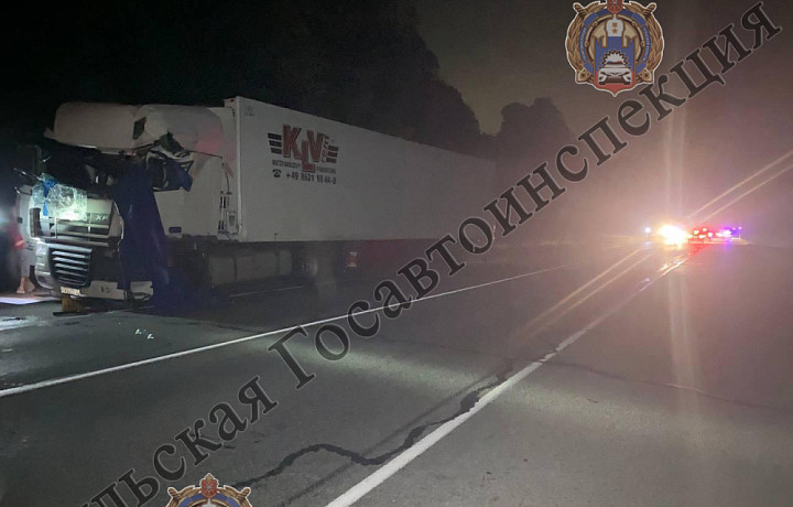 В Щекинском районе газелист уснул за рулем и устроил тройное ДТП: пострадал ребенок