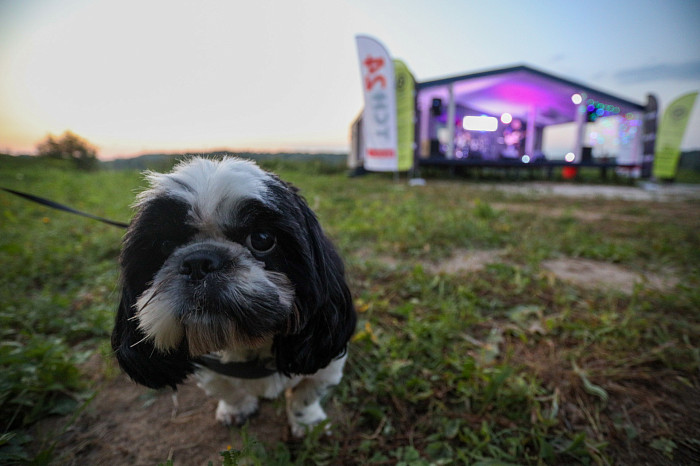 Фоторепортаж: как проходит MaxiCamp от радио Maximum и ГК Медиа Траст