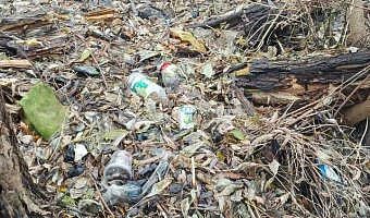 В Венёвском районе администрации выдали предписание из-за свалки