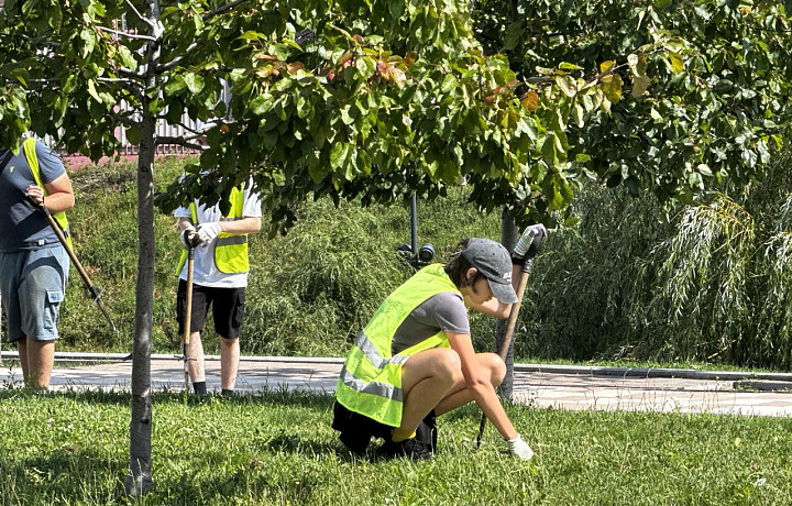 Приводят в порядок набережную, получают в среднем 30 тысяч: в Тульской области около шести тысяч подростков устроились на летнюю подработку