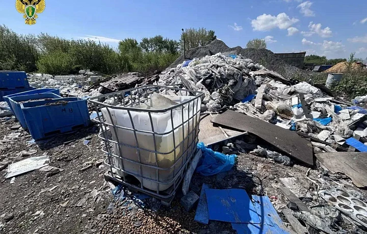 Из-за крупной свалки с опасными отходами в Новомосковске началась проверка