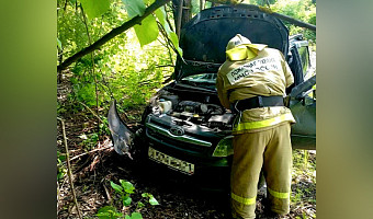 В ГАИ рассказали подробности ДТП с детьми в Новомосковском районе