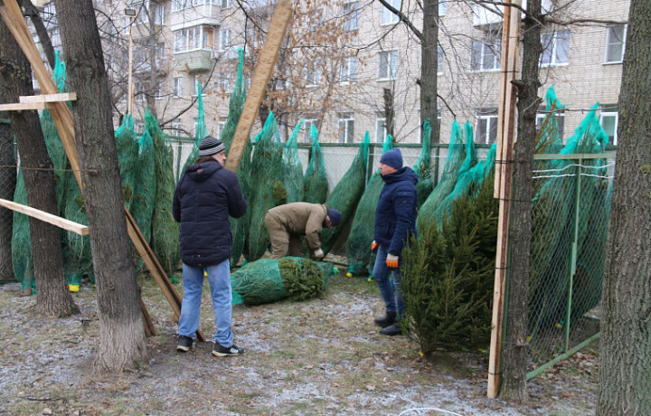 20 декабря в Туле начнут работать ёлочные базары