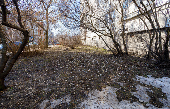 Идет – бычок валяется: фоторепортаж с улиц Тулы, от которого хочется прокашляться