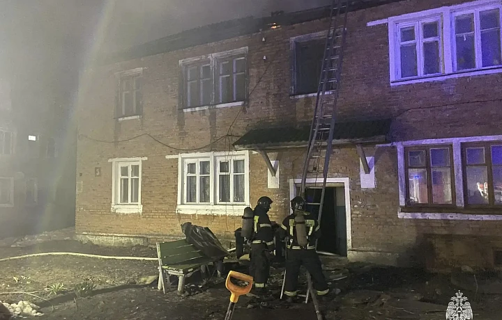 Восемь пожаров было потушено в Тульской области 28 марта