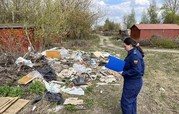 На улице Баженова в Туле обнаружили свалку: прокуратура организовала проверку